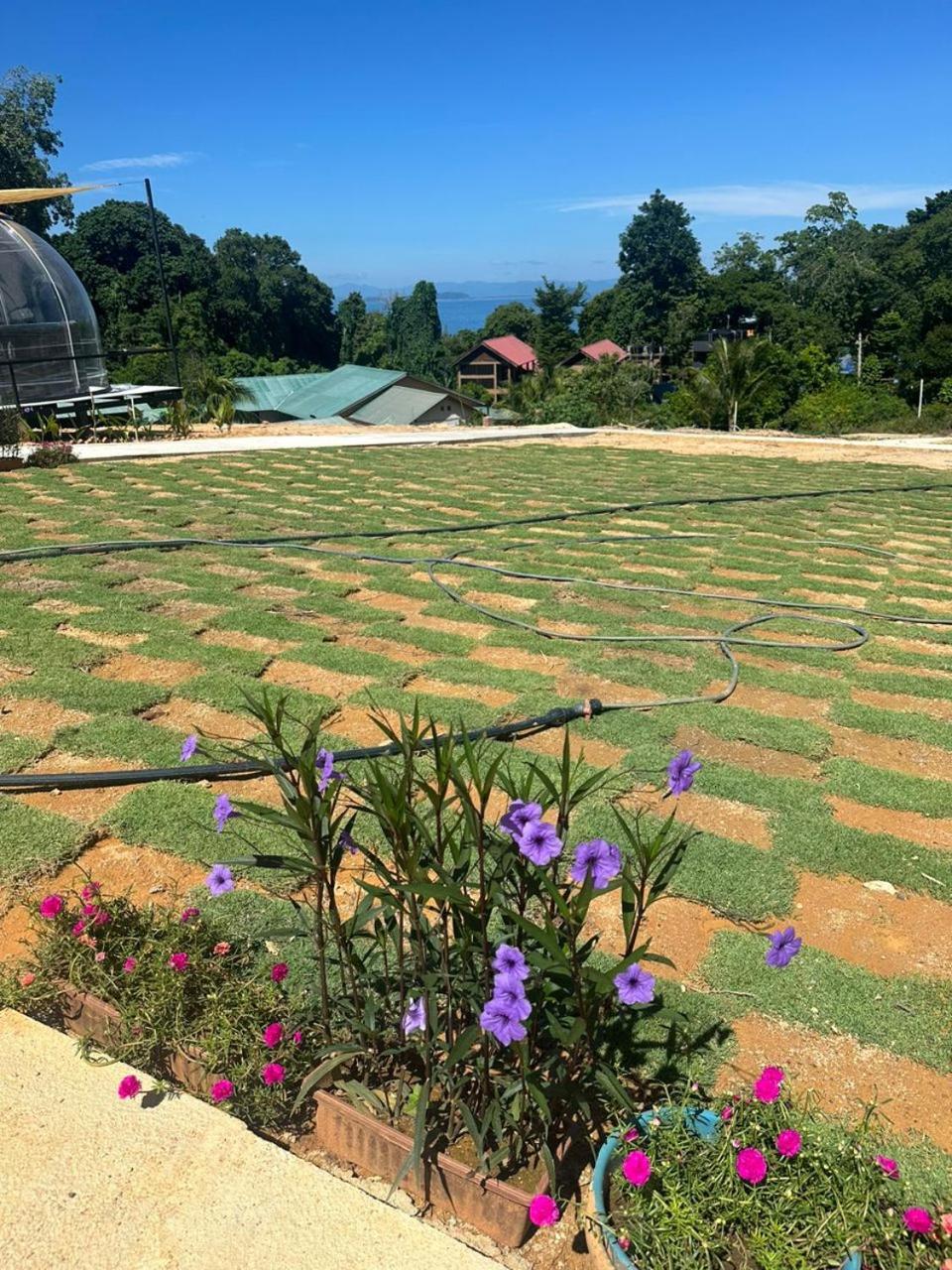 Dnamie Glamping - Lux Tent Pulau Perhentian Kecil Εξωτερικό φωτογραφία